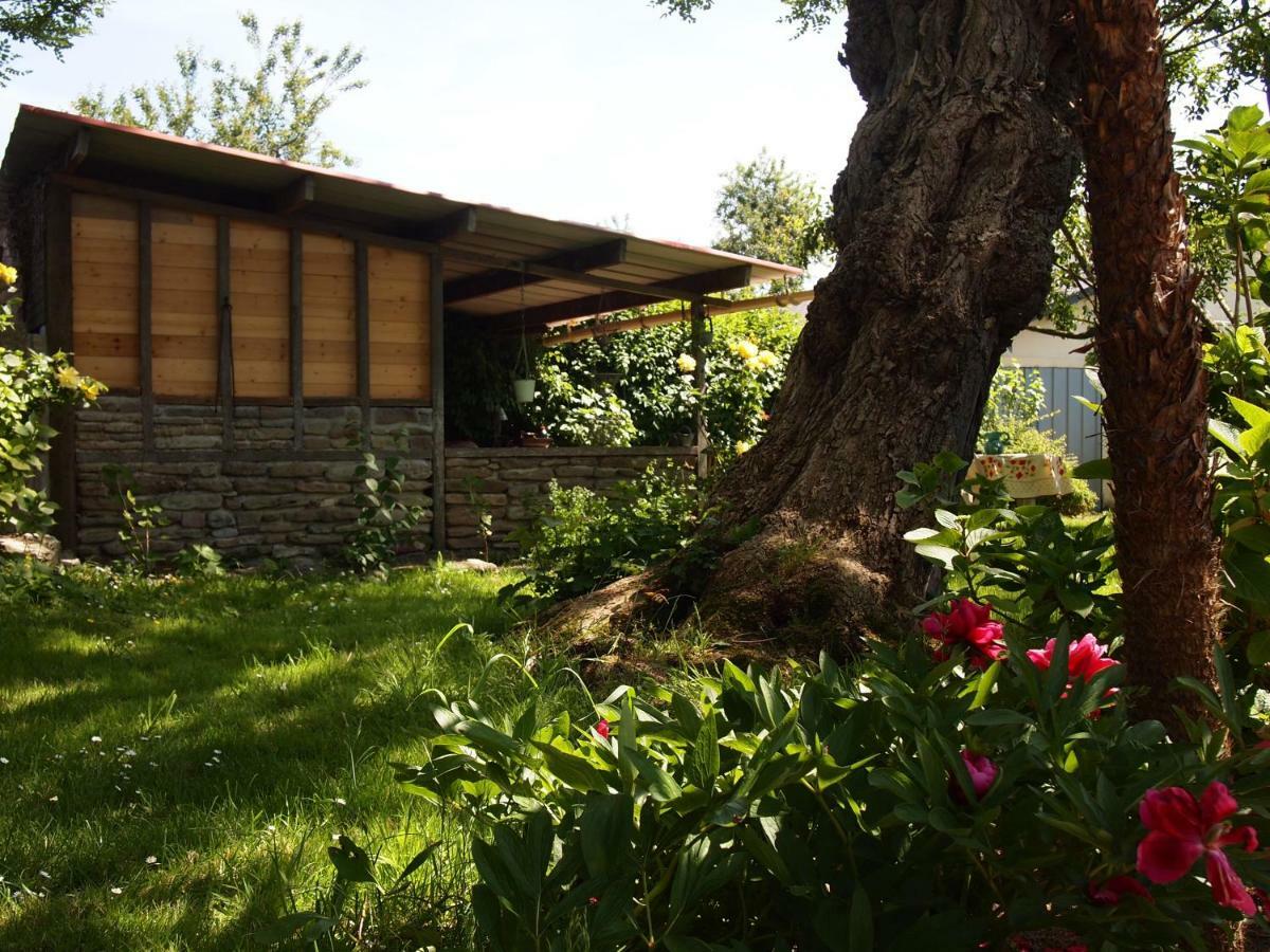 Chambres D'Hotes Les 4 Chemins Trouville-sur-Mer Dış mekan fotoğraf