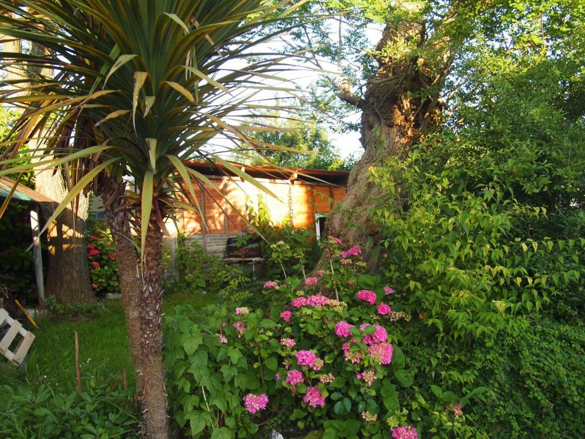 Chambres D'Hotes Les 4 Chemins Trouville-sur-Mer Dış mekan fotoğraf